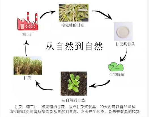 環(huán)保紙漿餐具多長時間可以完全降解？
